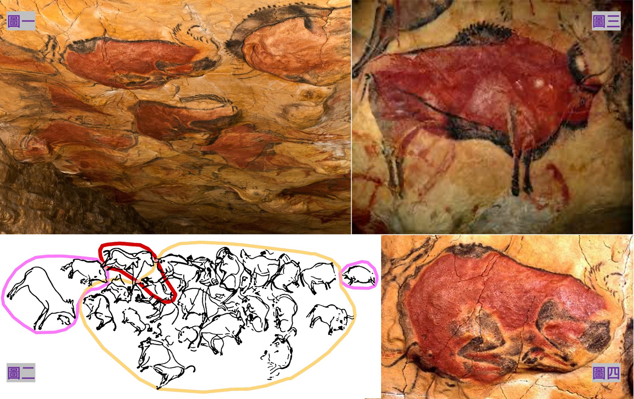 去西班牙考古：小女孩發現的史前壁畫