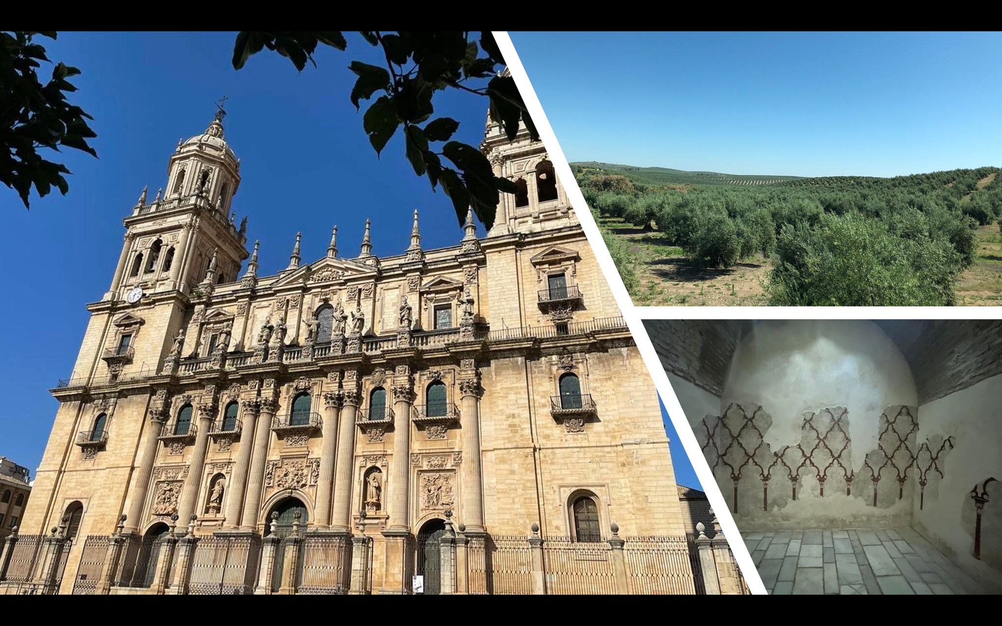 世界橄欖油首都Jaén